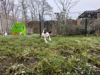 IMG_20250213_145751_web