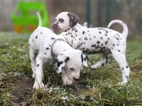 IMG_20250213_145815_web