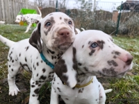 IMG_20250213_145822_1_web