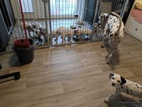 IMG_20250214_090656_web