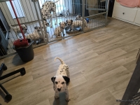 IMG_20250214_090700_web