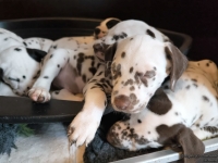 IMG_20250214_100659_web