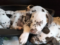 IMG_20250214_100701_web