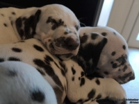 IMG_20250214_100716_web