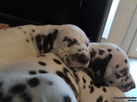 IMG_20250214_100722_web