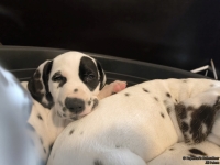 IMG_20250214_100732_web