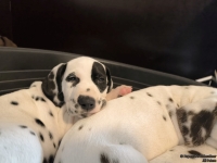 IMG_20250214_100733_web