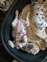 IMG_20250214_164722_web