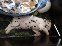 IMG_20250214_164741_web