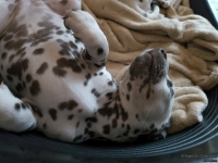 IMG_20250214_164747_web