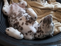 IMG_20250214_164750_web