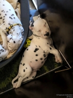 IMG_20250214_173418_web