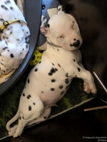 IMG_20250214_173428_web