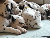 IMG_20250215_110622_web