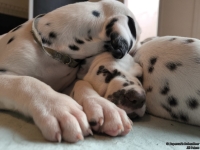 IMG_20250215_110644_web