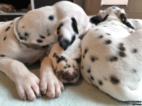 IMG_20250215_110648_web