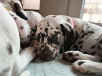 IMG_20250215_110652_web