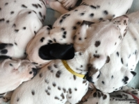 IMG_20250215_110702_web