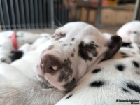 IMG_20250215_110711_web