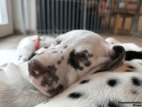 IMG_20250215_110713_web