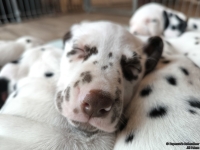 IMG_20250215_110717_web