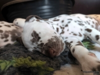 IMG_20250215_110727_web