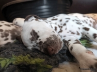 IMG_20250215_110728_web