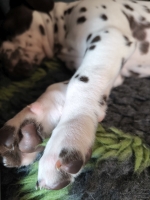 IMG_20250215_110738_web