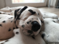 IMG_20250215_111637_web