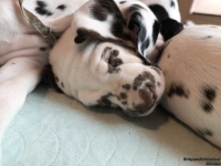 IMG_20250215_111645_web