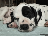 IMG_20250215_111714_web