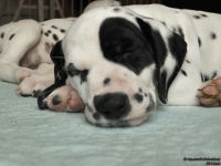 IMG_20250215_111715_web