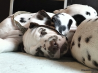 IMG_20250215_111757_web