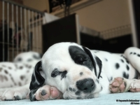 IMG_20250215_111808_web