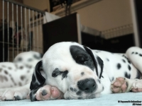 IMG_20250215_111810_web