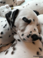 IMG_20250215_111821_web