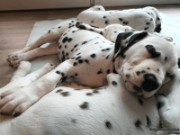 IMG_20250215_111830_web