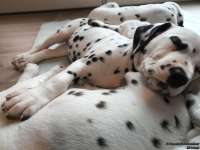 IMG_20250215_111833_web