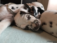 IMG_20250215_111837_web