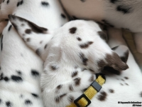 IMG_20250215_111848_web