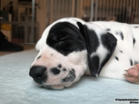 IMG_20250215_111858_web