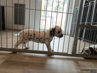 IMG_20250215_134045_web