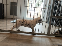 IMG_20250215_134046_web