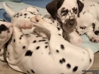 IMG_20250218_204557_web