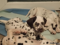 IMG_20250218_204601_web