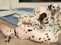 IMG_20250218_204605_web