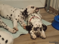 IMG_20250218_204633_web