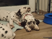 IMG_20250218_204638_web