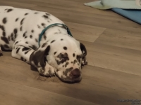 IMG_20250218_204642_web