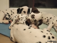 IMG_20250218_204659_web